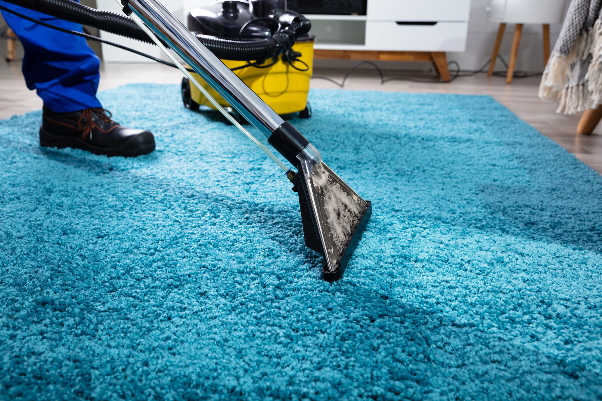 Professional Carpet Cleaning in Burbank