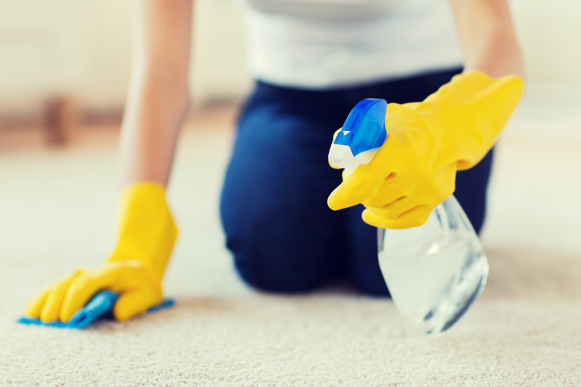 Professional Upholstery Cleaning